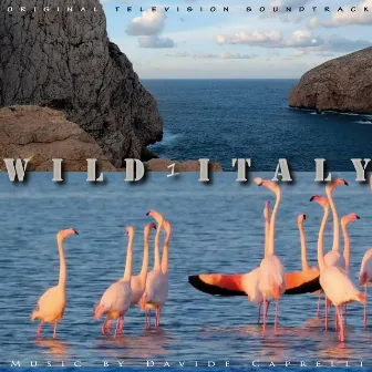 WILD ITALY 1 (Original Television Series Soundtrack) by Davide Caprelli