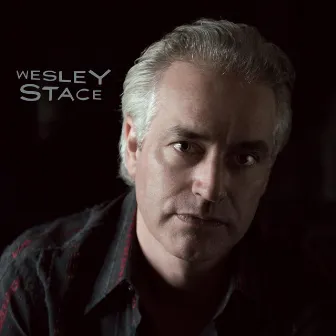 Self-Titled by Wesley Stace