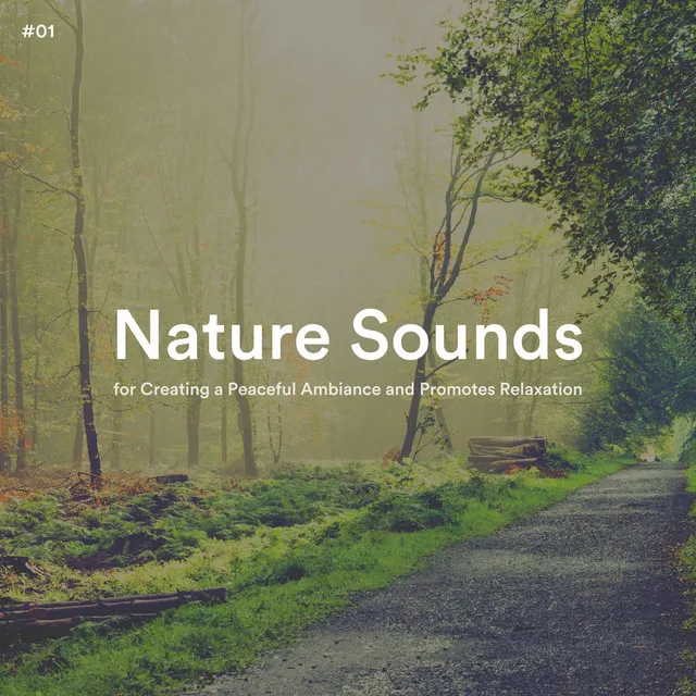 Nature Sounds for Creating a Peaceful Ambiance and Promotes Relaxation, Pt. 42