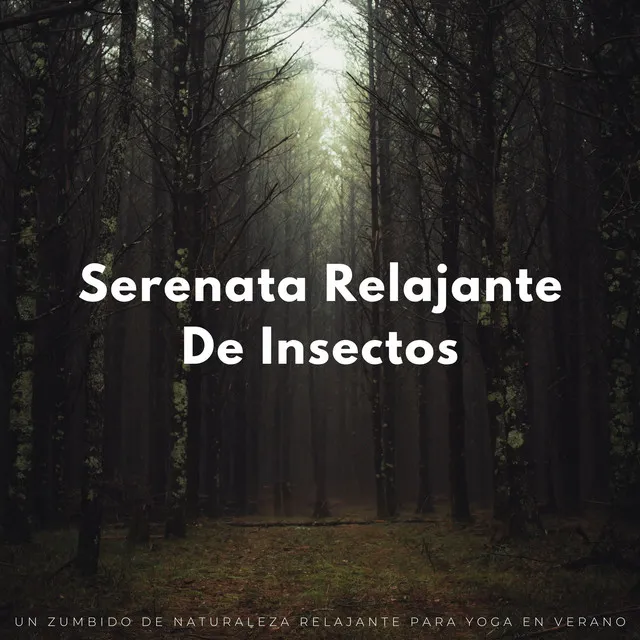 Serenata Relajante De Insectos: Un Zumbido De Naturaleza Relajante Para Yoga En Verano