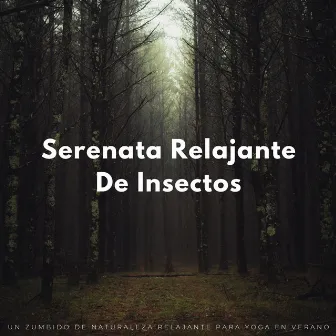 Serenata Relajante De Insectos: Un Zumbido De Naturaleza Relajante Para Yoga En Verano by Música de yoga de una hora