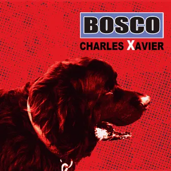 Bosco by Charles Xavier