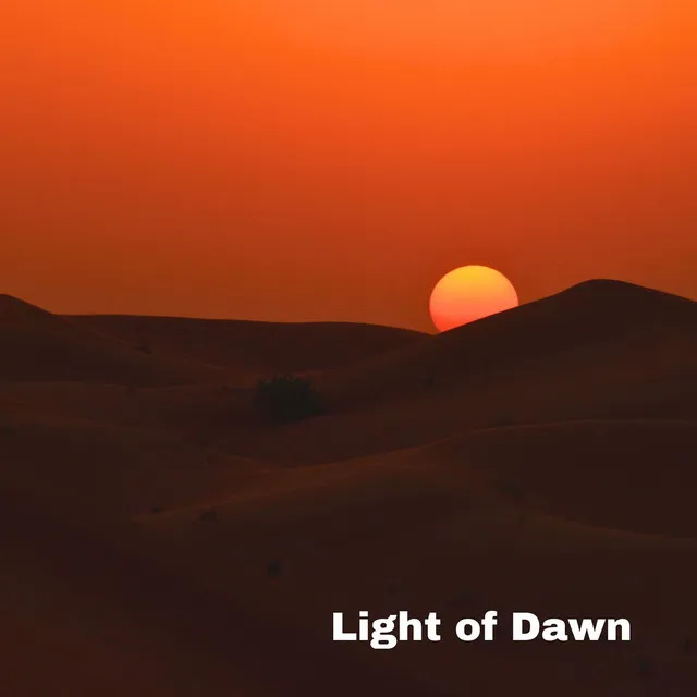 Light of Dawn