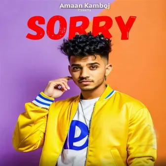 Sorry by Amaan Kamboj