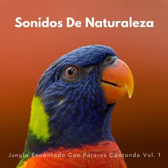 Sonidos De Naturaleza: Jungla Encantada Con Pájaros Cantando Vol. 1 by Coleccionistas de sonidos de pájaros