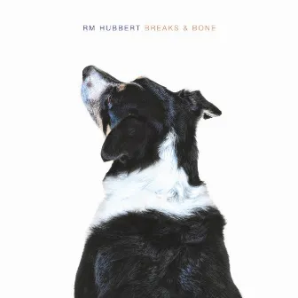 Breaks & Bone by RM Hubbert