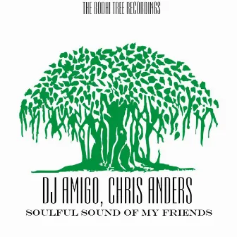 Soulful Sound Of My Friends - Single by Dj Amigo