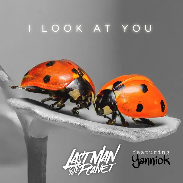 I Look at You