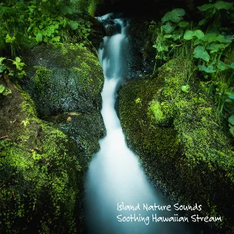 Soothing Hawaiian Stream by Island Nature Sounds