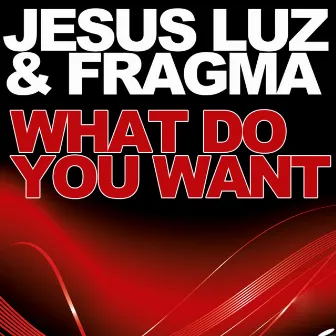 What Do You Want by Jesus Luz