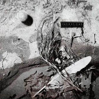 Secrets Of The Beehive (Remastered 2003) by David Sylvian