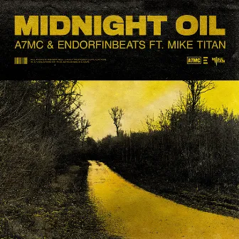 Midnight Oil by EndorfinBeats