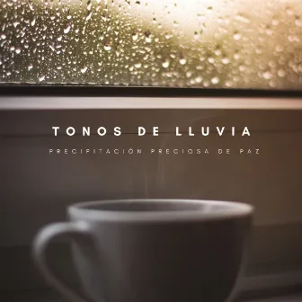 Tonos De Lluvia: Precipitación Preciosa De Paz by Serenidad y Armonía