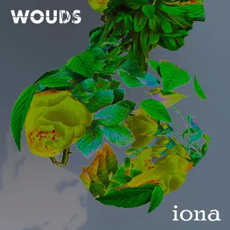 Iona by wouds