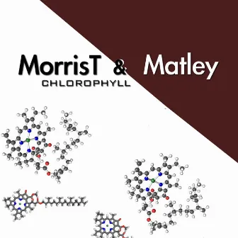 Chlorophyll by Morris T