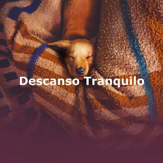 Descanso Tranquilo by Musica Relajante para Dormir Guitarra