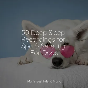 50 Deep Sleep Recordings for Spa & Serenity For Dogs by Relaxmydog