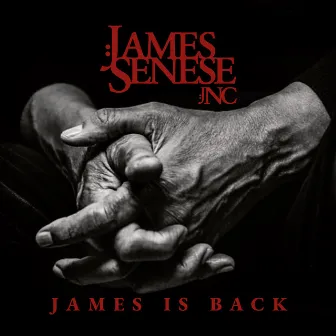 James is back by James Senese