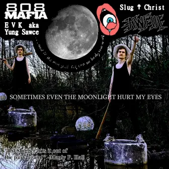 Sometimes Even the Moonlight Hurt My Eyes by Slug † Christ