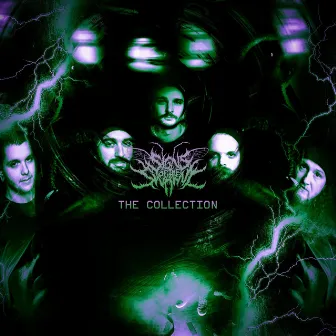 The Collection by Signs of the Swarm