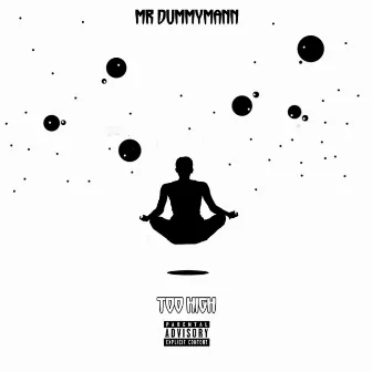 Too High by Mr Dummy Mann