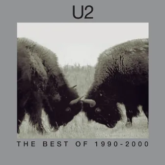 The Best Of 1990-2000 & B-Sides by U2