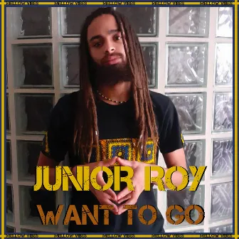 Want To Go by Junior Roy