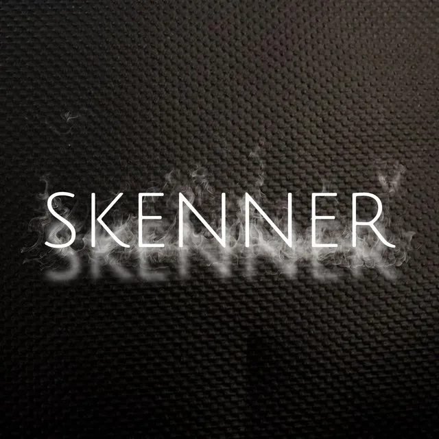 Skenner