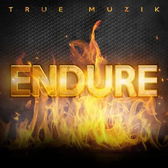 Endure by True Muzik