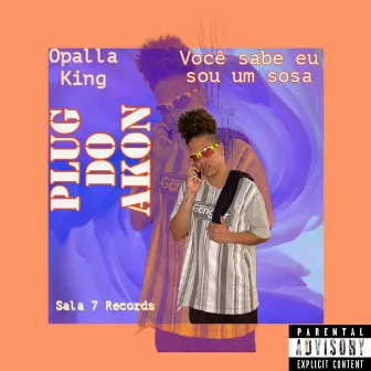 Plug do Akon (Você Sabe Eu Sou um Sosa) by Opalla King