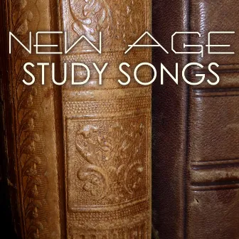 New Age Study Songs - Concentration Music by Unknown Artist