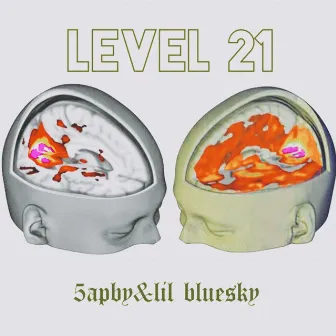 level 21 by 5apby