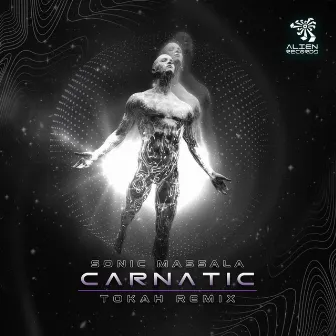 Carnatic by Tokah