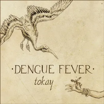 Tokay by Dengue Fever