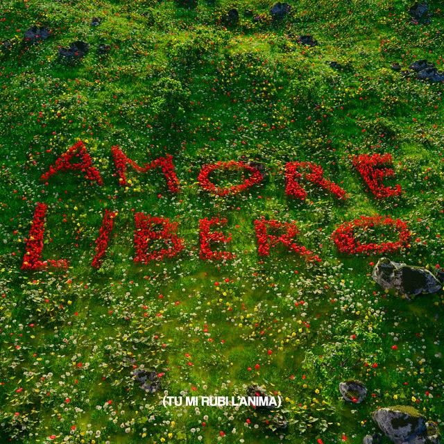 Amore Libero (tu mi rubi l'anima)