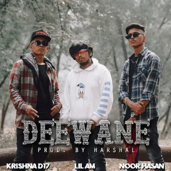 Deewane by Noor Hasan