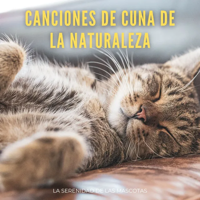 Canciones De Cuna De La Naturaleza: La Serenidad De Las Mascotas