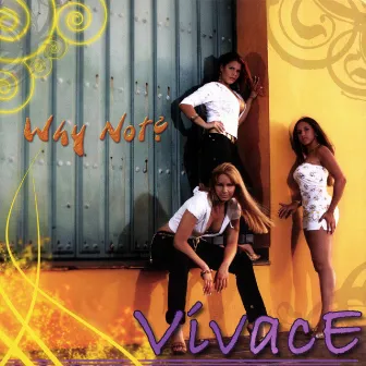 Why Not? by Vivace