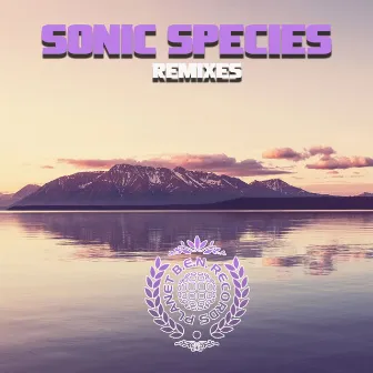 Remixes by Sonic Species