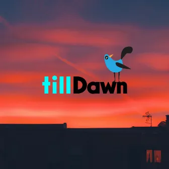 Chill & Brid by tillDawn