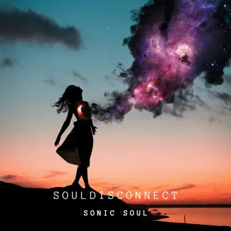 Soul disconnect by Sonic Soul