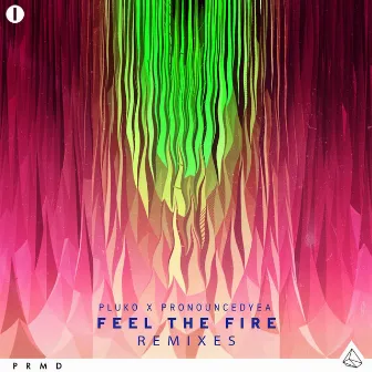 Feel the Fire (Remixes) by pluko