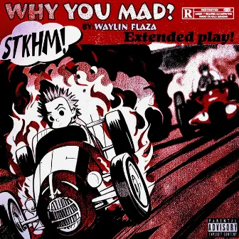 WHY YOU MAD by Waylin Flaza