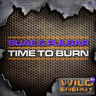 Time to Burn by Pulsar