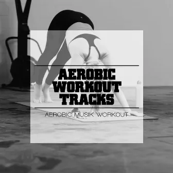 Aerobic Workout Tracks by Unknown Artist