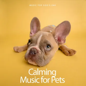 Calming Music for Pets by Music for Dog's Ear