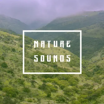 Nature Sounds by Nature Recordings