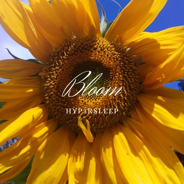 Bloom