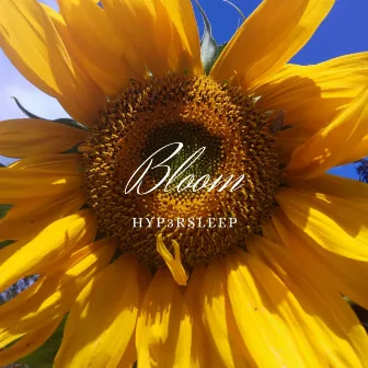 Bloom by Hyp3rsleep