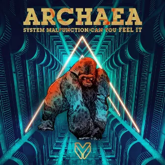 System Malfunction / Can You Feel It by Archaea